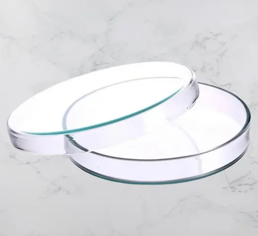 Glass Petri Dish 120mm for Lab