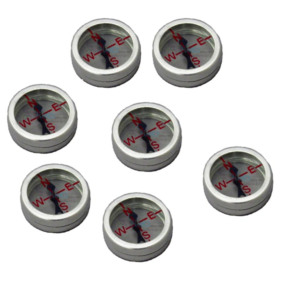 Magnetic Compass for Lab