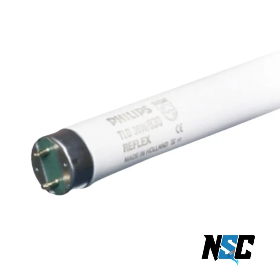 Philips 2 Feet TL83 Tube Light For Color Assessment